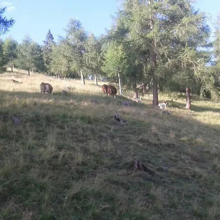 Apartamento Unterniggleralm