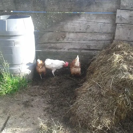 Apartamento Unterniggleralm *