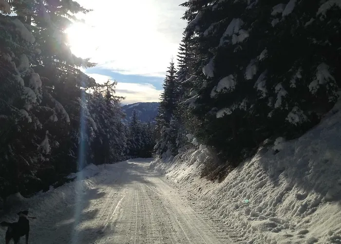 Unterniggleralm Apartmán