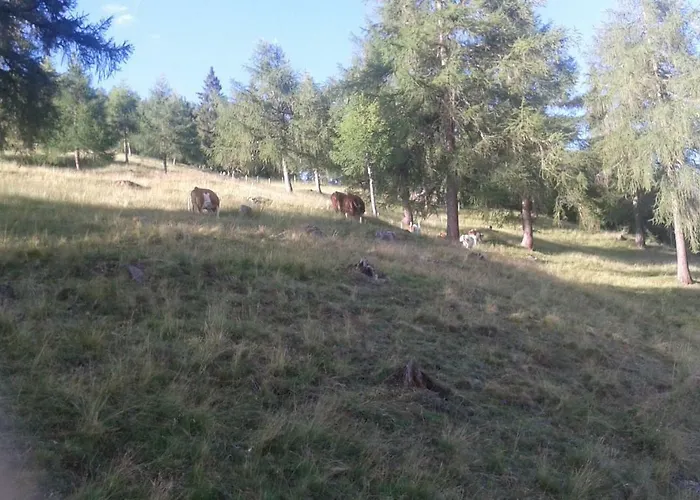 아파트 Unterniggleralm